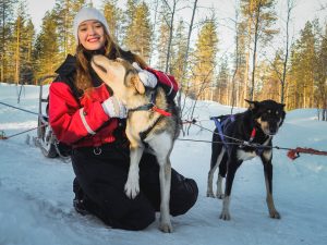 Conociendo huskies en Rovaniemi, Laponia en nuestra granja