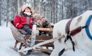 Excursión de renos en Rovaniemi, Laponia con Christmas House Safaris, en la granja de renos de Papá Noel