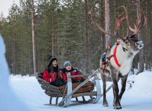 Rentierschlittenfahrt mit Christmas House Safaris in Rovaniemi, Lappland