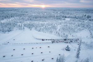 Husky farm of Piiru Resort in Rovaniemi belonging to Christmas House Safaris